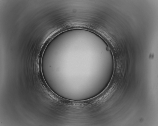 X0000097920782200803281425