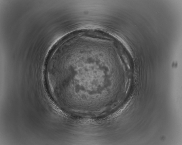 X0000097920783200803281425