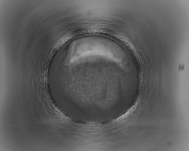 X0000097920785200803281425