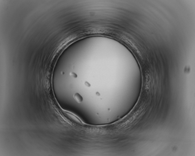 X0000097920786200803281425