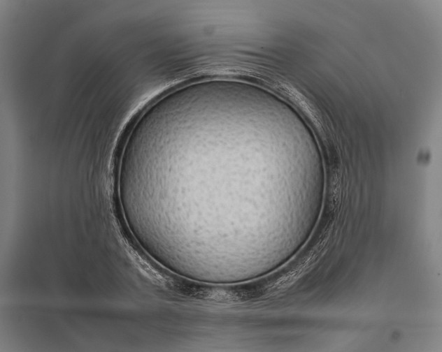 X0000097920787200803281425