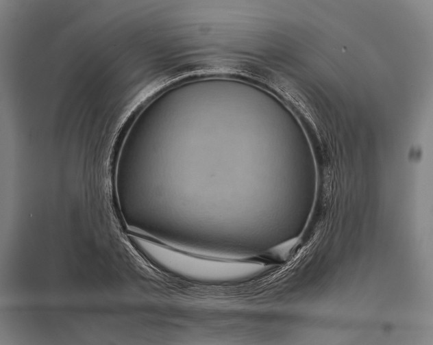 X0000097920789200803281424