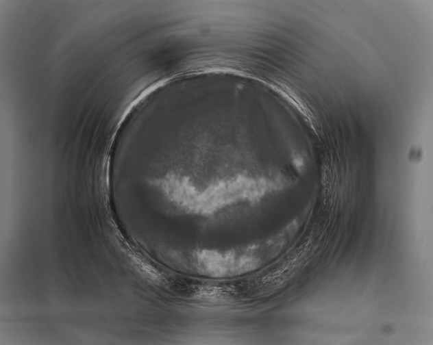 X0000097920790200803281424