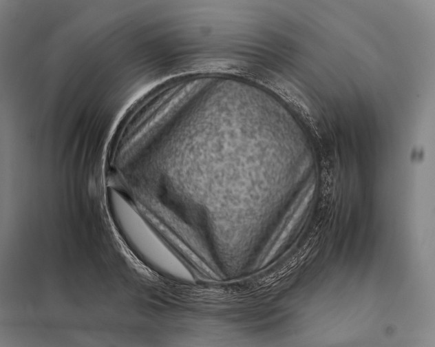 X0000097920792200803281424