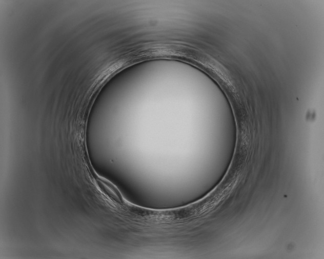 X0000097920793200803281424