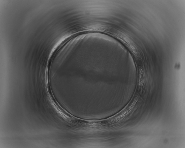 X0000097920796200803281424