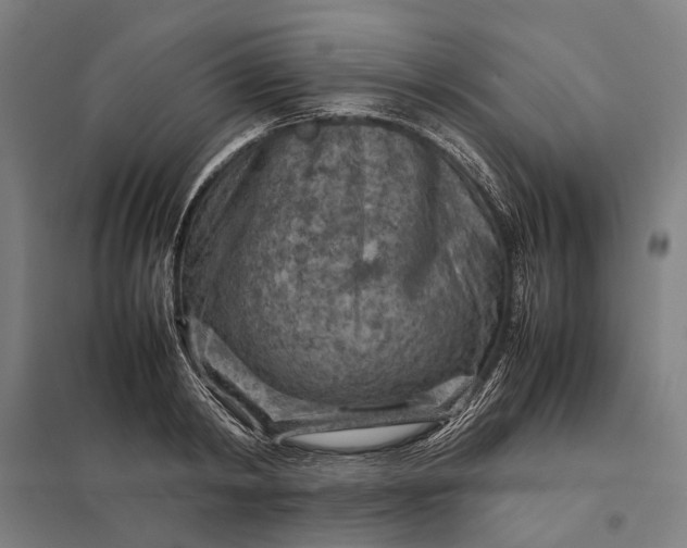 X0000097920798200803281424