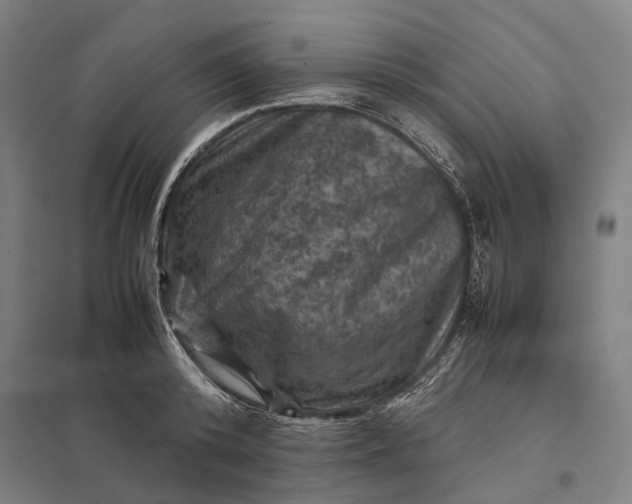 X0000097920800200803281424