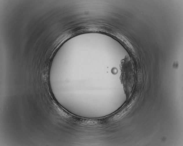 X0000097920801200803281424