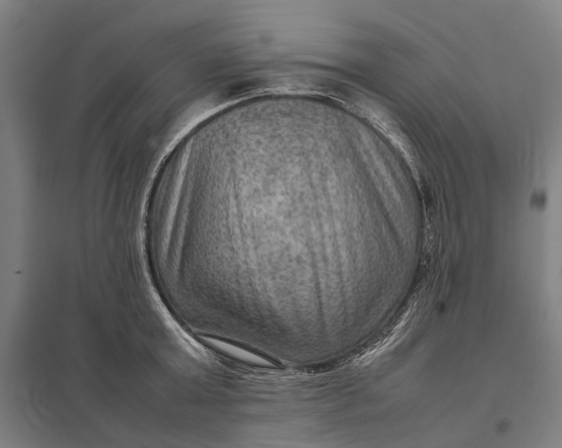 X0000097920803200803281424