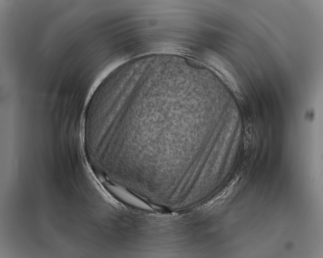 X0000097920804200803281424