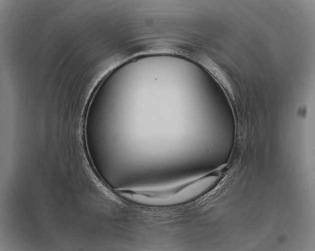 X0000097920805200803281424