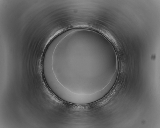 X0000097920806200803281424