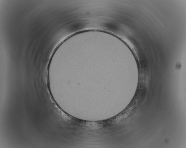 X0000097920807200803281424