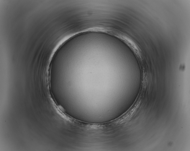 X0000097920808200803281424