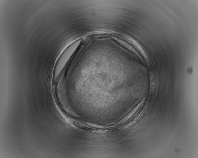 X0000097920810200803281424