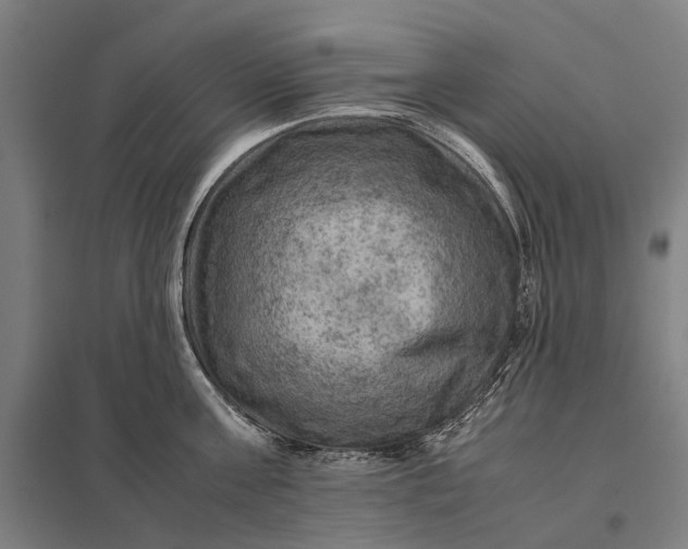 X0000097920811200803281424