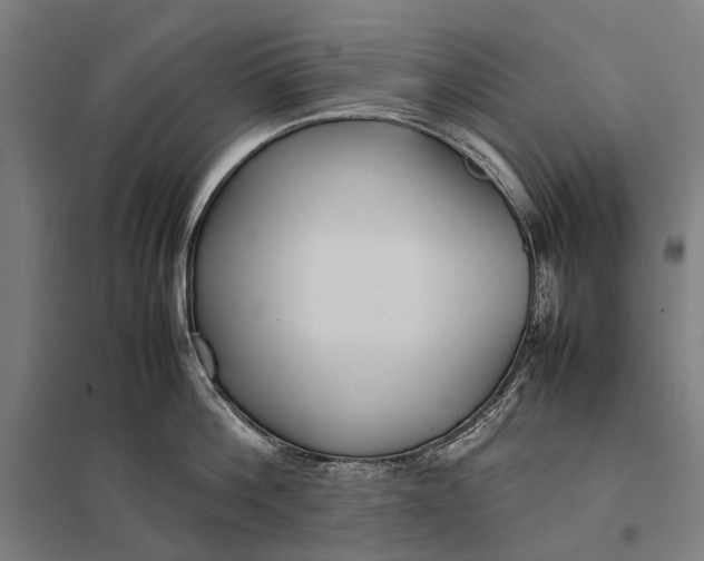 X0000097920812200803281424