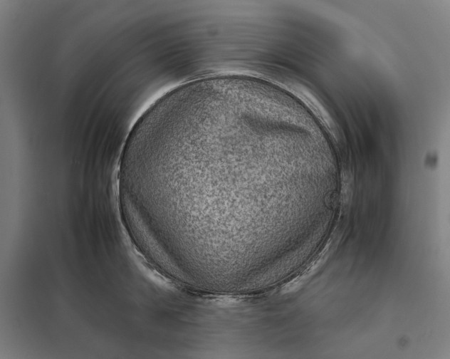 X0000097920814200803281424