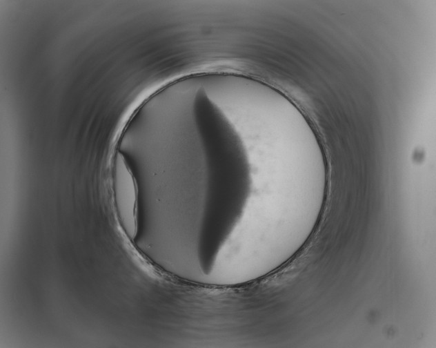 X0000097920816200803281424