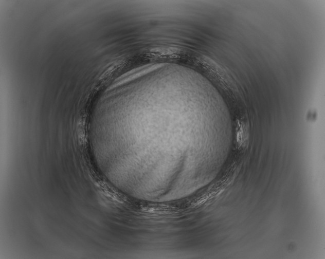 X0000097920819200803281423