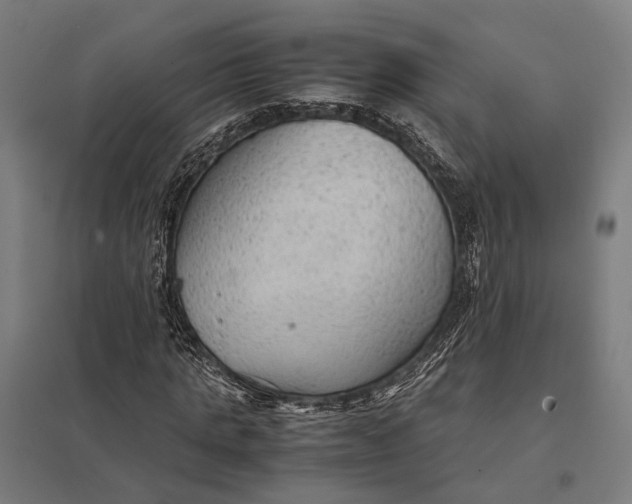 X0000097920821200803281424