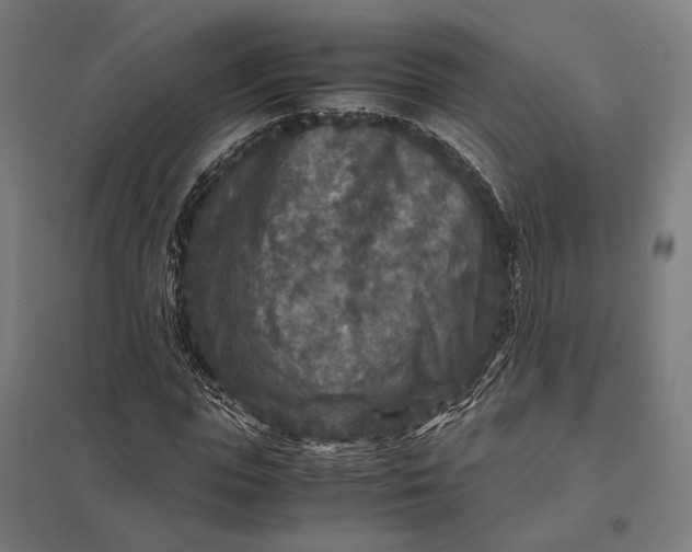 X0000097920823200803281424