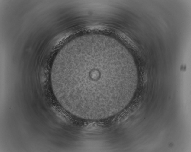 X0000097920824200803281424