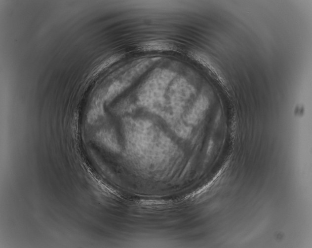 X0000097920825200803281424