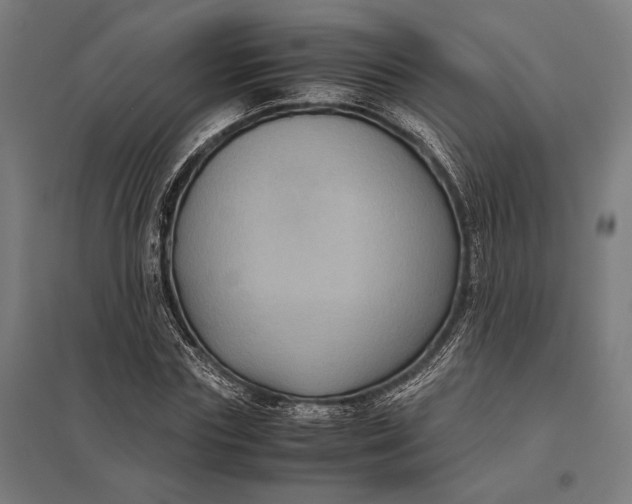 X0000097920827200803281424