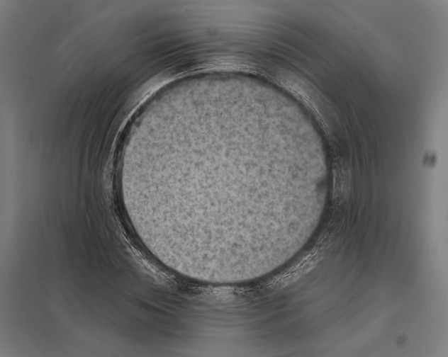 X0000097920828200803281424