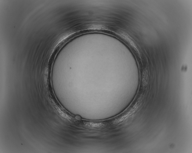 X0000097920831200803281424