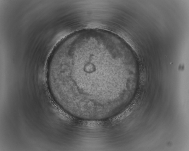 X0000097920832200803281424