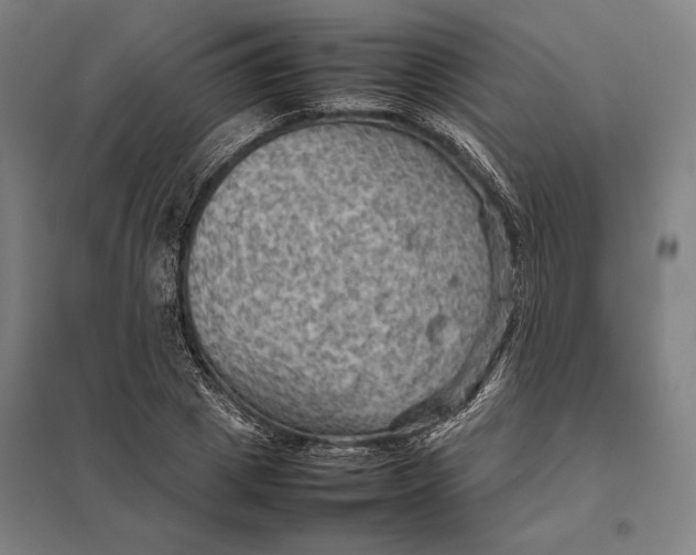 X0000097920833200803281424