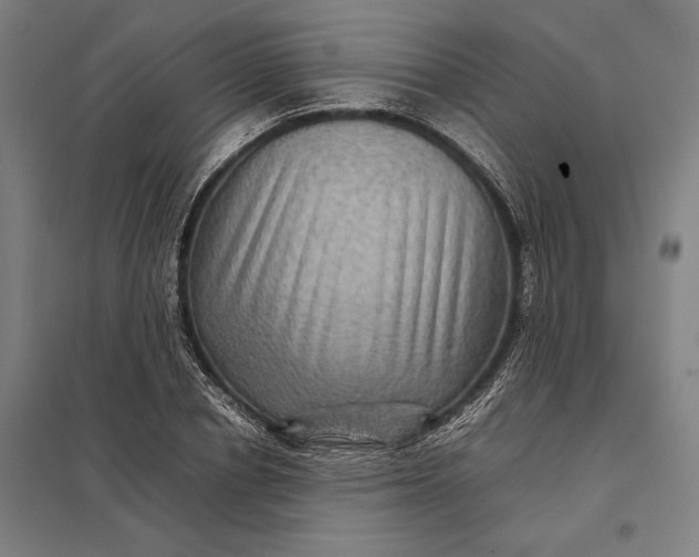 X0000097920834200803281424