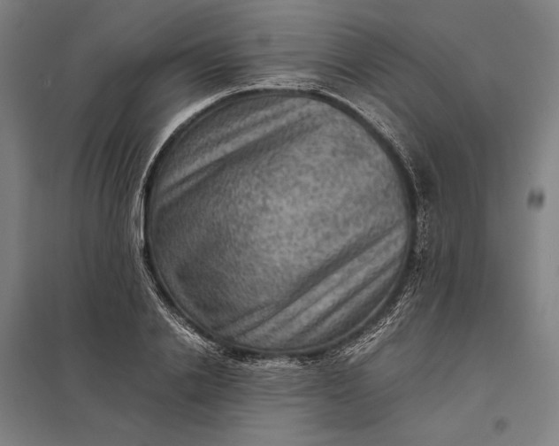 X0000097920838200803281424