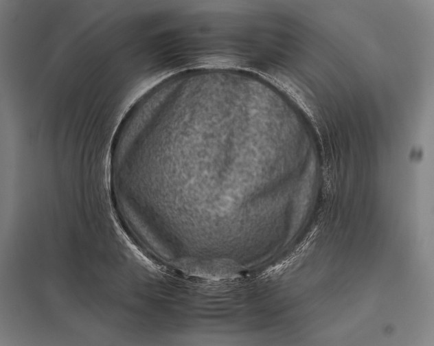 X0000097920839200803281424