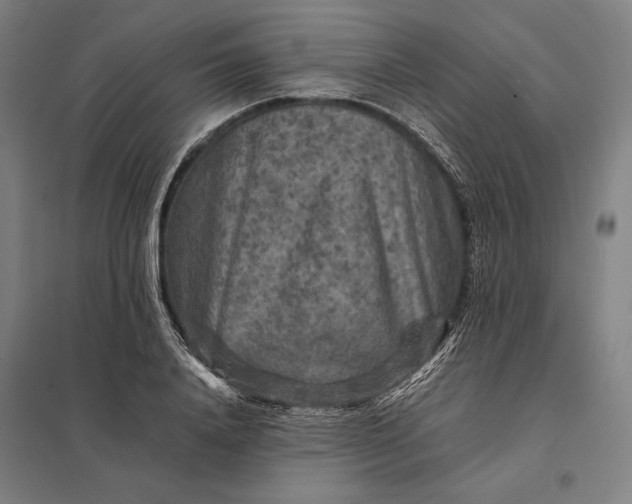 X0000097920840200803281424