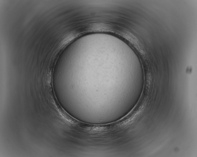 X0000097920841200803281424