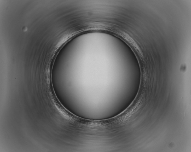 X0000097920842200803281424