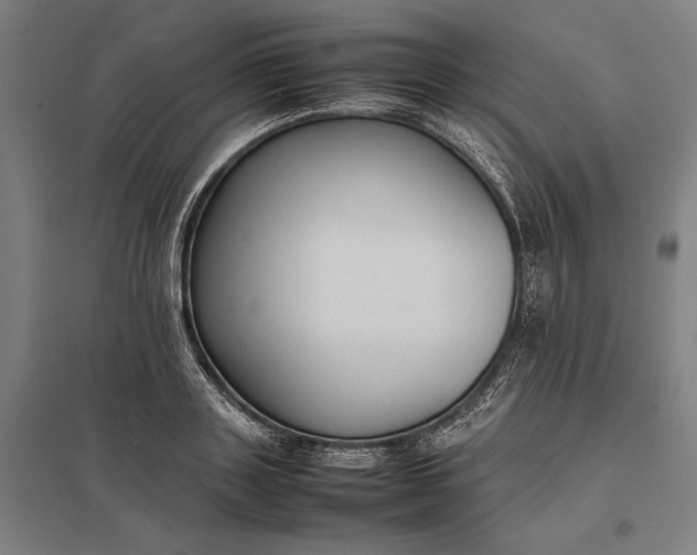 X0000097920843200803281424