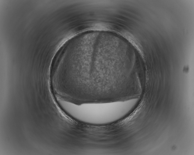 X0000097920845200803281424