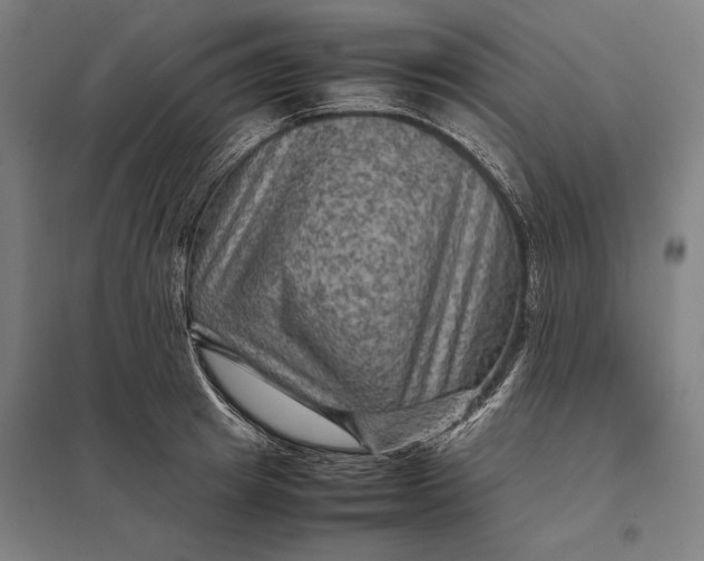 X0000097920849200803281424