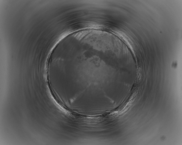 X0000097920851200803281424