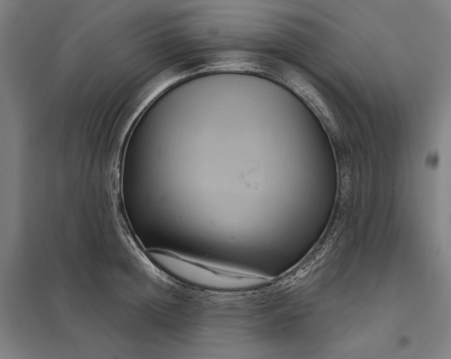 X0000097920852200803281424