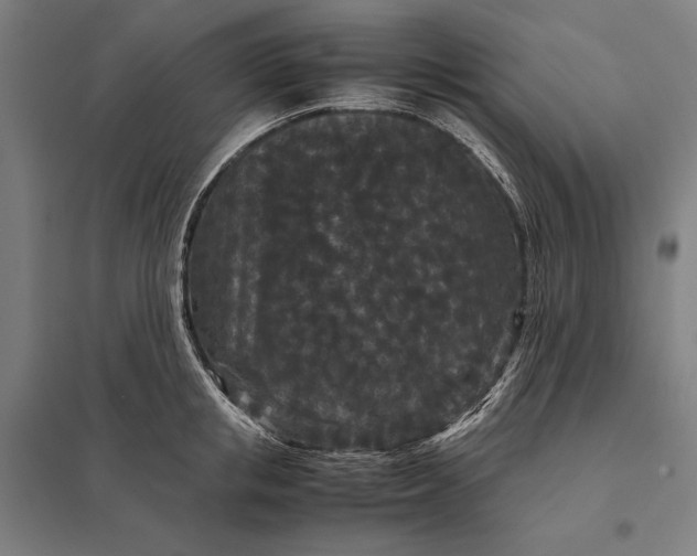 X0000097920853200803281424