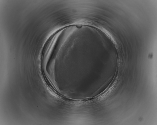 X0000097920854200803281424