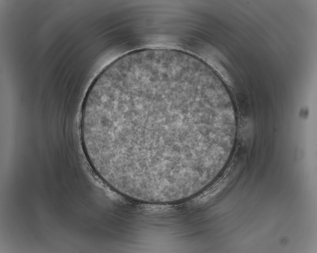 X0000097920856200803281424