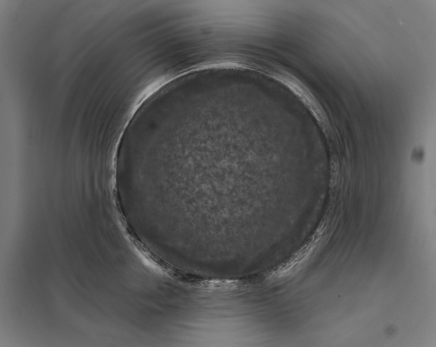 X0000097920858200803281424