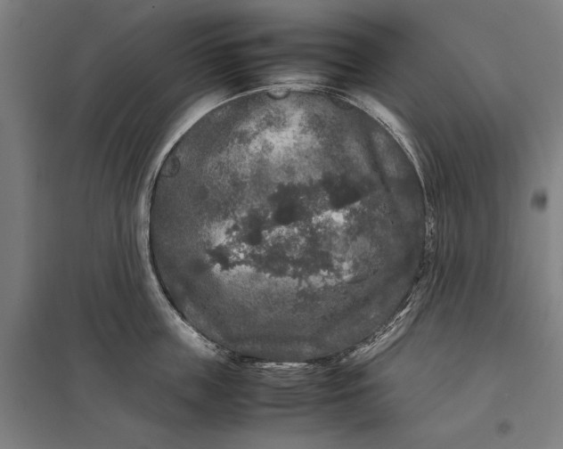 X0000097920859200803281424